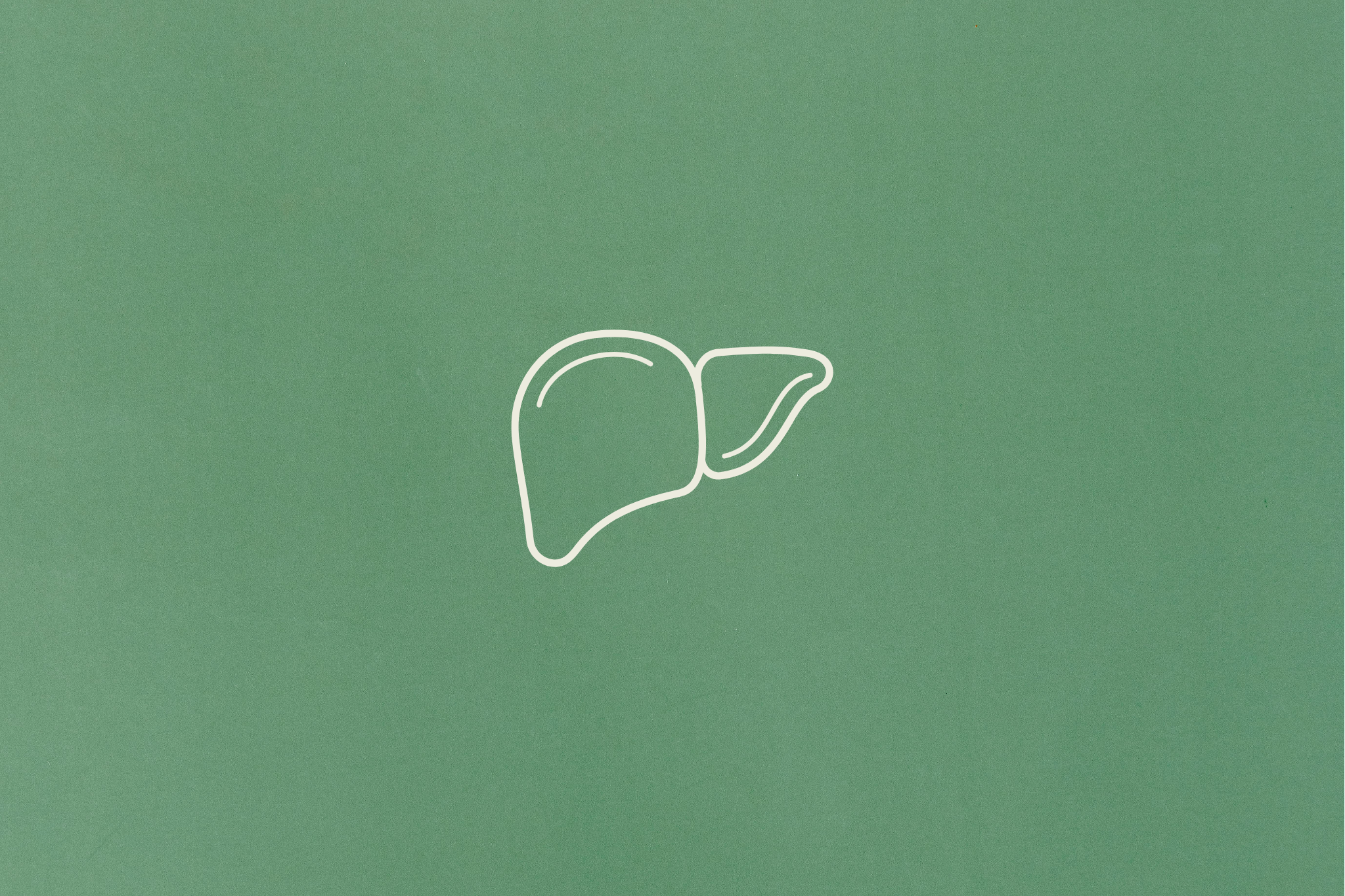 Fettleber: Ursachen, Symptome und richtige Ernährung