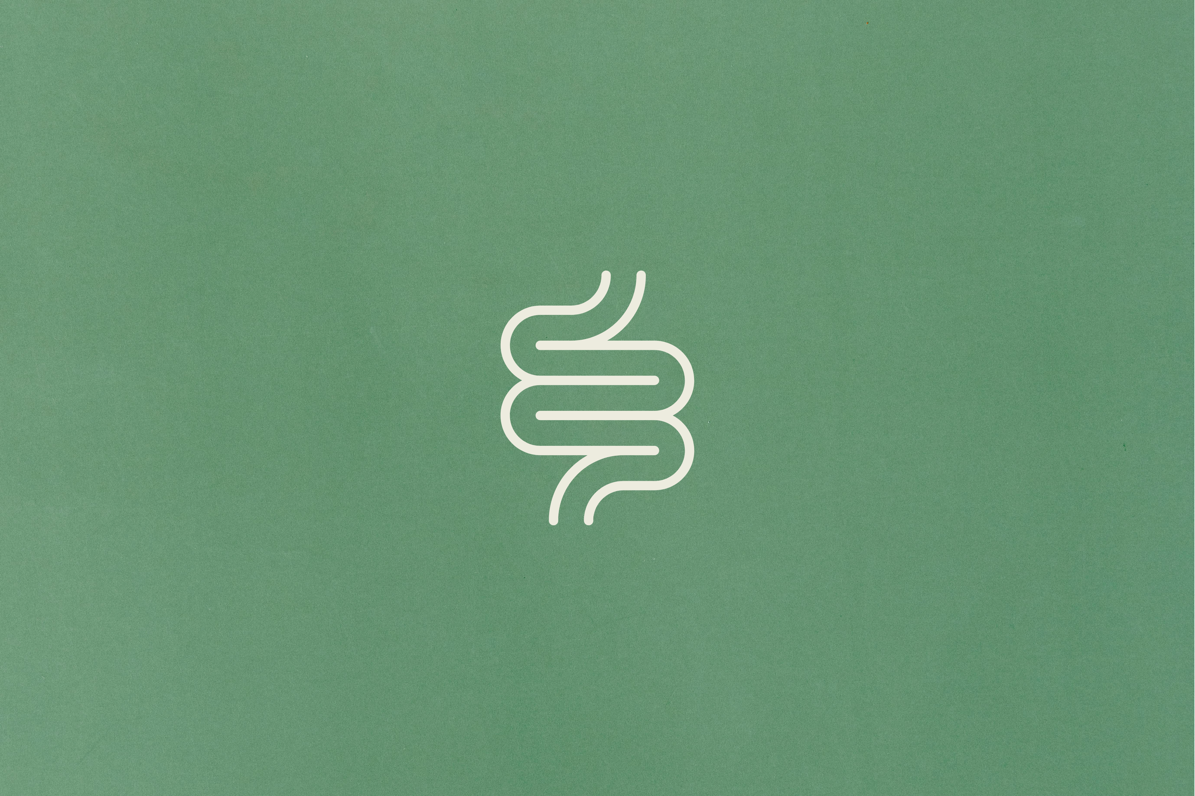 Präbiotika: Deine Gesundheit von innen neu beleuchtet