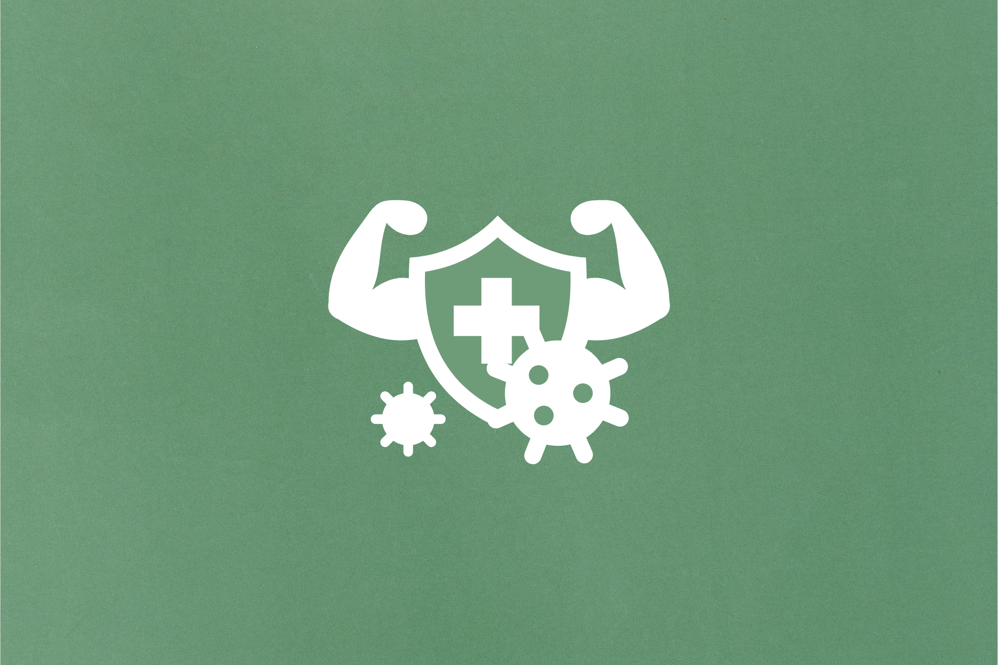 Das Geheimnis innerer Stärke: Mikronährstoffe, Ballaststoffe und der Stoffwechsel – Dein Trio für mehr Energie und Lebensfreude