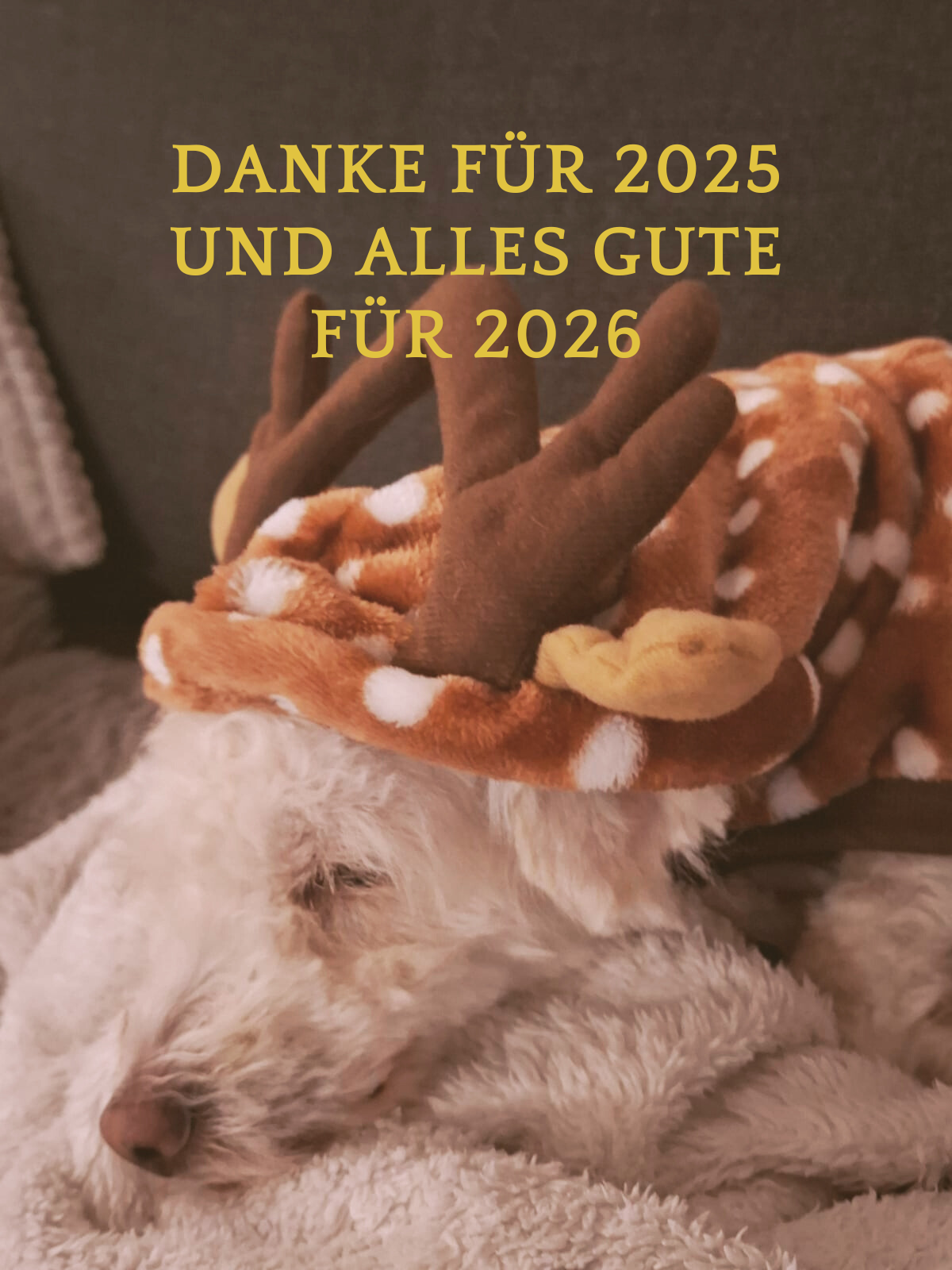 ESSENZA-NATURAL informiert: Danke für 2025 – und alles Gute für 2026